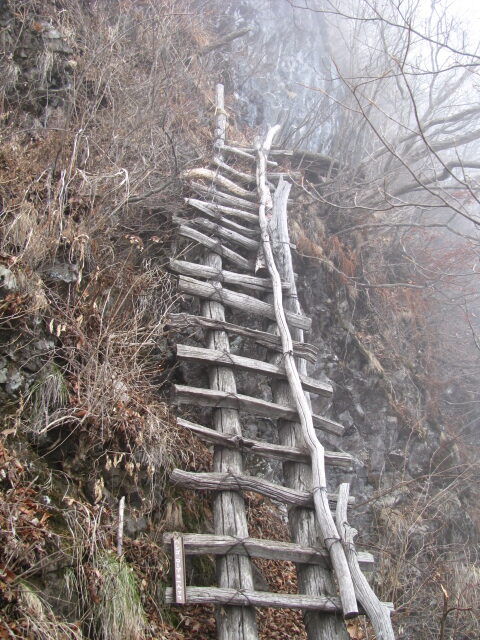 鹿岳登山道の梯子