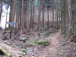 四ツ又山登山道