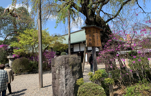 川越喜多院の書院と客殿