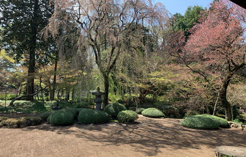 喜多院庭園